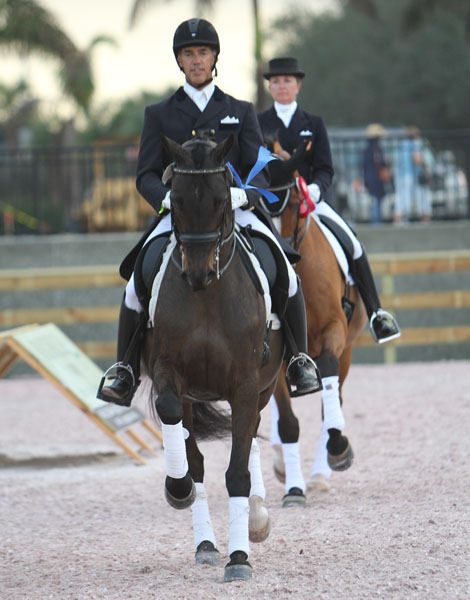 dressage 