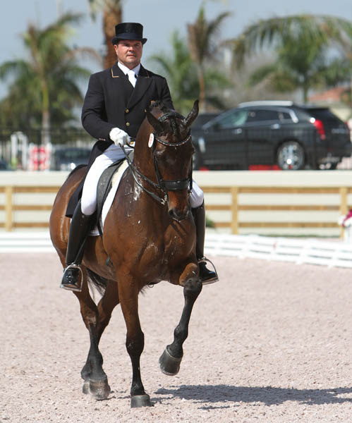  dressage