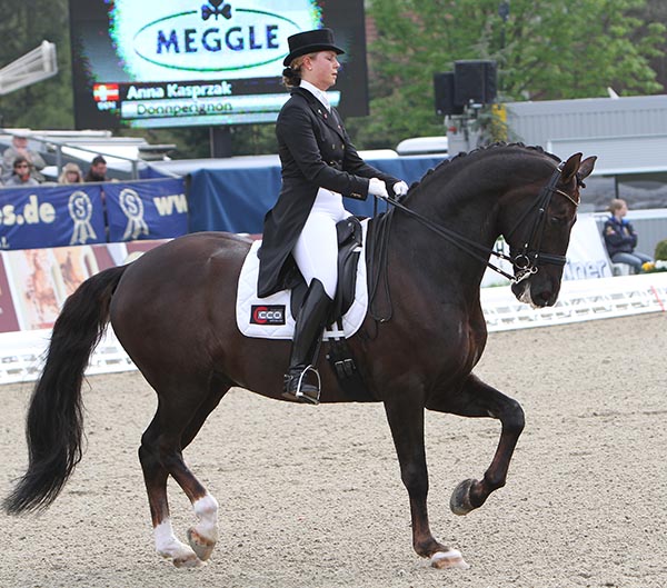 dressage shows 
