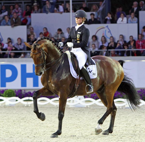 dressage shows