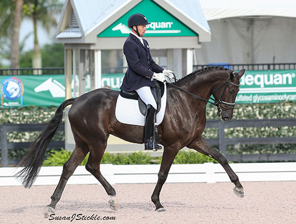 Endel Ots Could Ride Two Mounts for USA at World Young Horse Championships