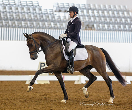 Ots Qualifies for Verden at Shoofly Farm CDI3*