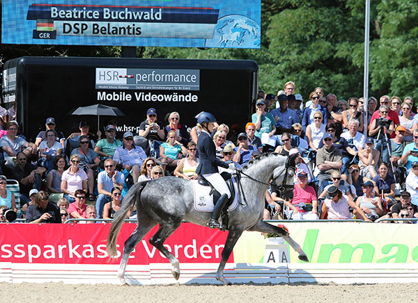 Beatrice Buchwald on the spectacular gray German Sport Horse stallion Belantis. © 2015 Ken Braddick/dressage-news.com