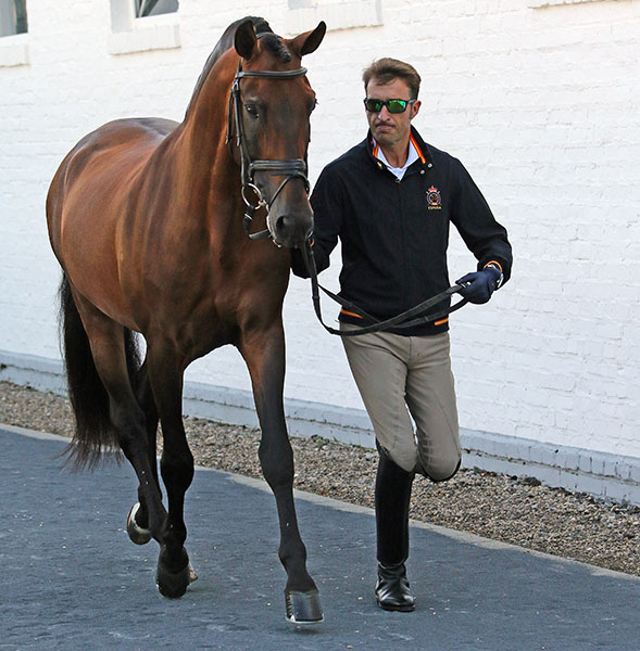 Jose Daniel Dockx with Grandioso, the American-owned horse he competed at the London Olympics and 2014 World Games. © 215 Ken Braddick/dressage-news.com