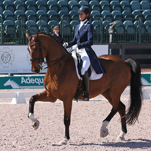 Yvonne Losos de Muniz competing Foco Loco-W at the Adequan Global Dressage Festival in Florida. © 2016 Ken Braddick/dressage-news.com