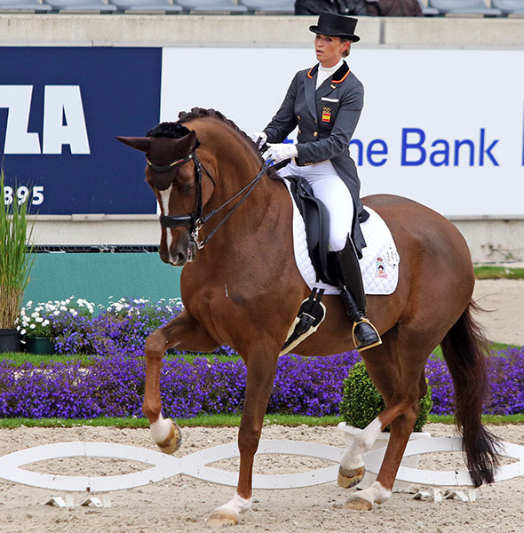Girasol being ridden by Morgan Barbançon at the CDI4* in Aachen, Germany. © 2016 Ken Braddick/dressage-news.com