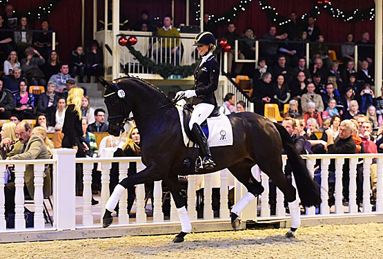 Fasine, German 6YO Champion, Highest Priced Dressage Horse at €1.3/US$1 ...